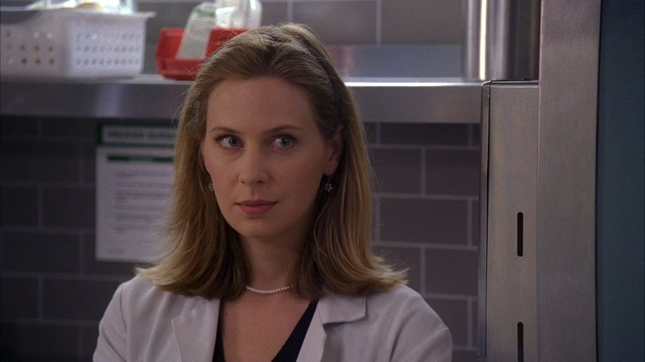 Anne Dudek as Amber Volakis in House